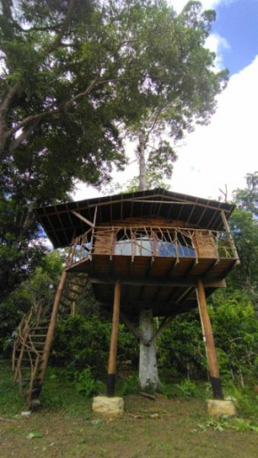 Moradia da Mata